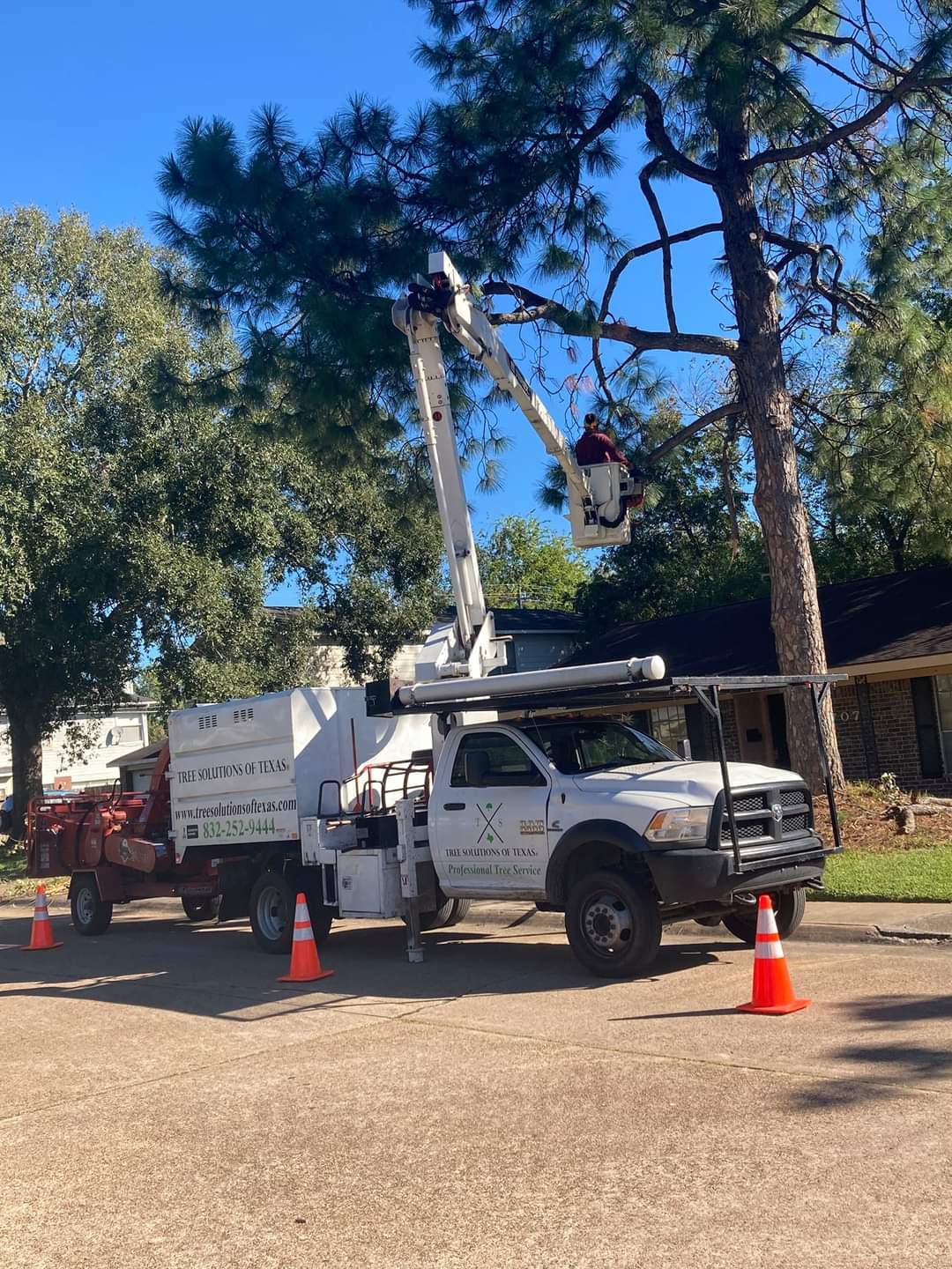 FB IMG 1635611386987